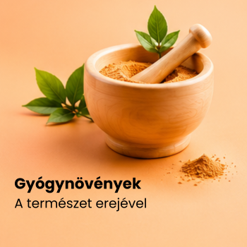 gyógynövények egy őrlőben