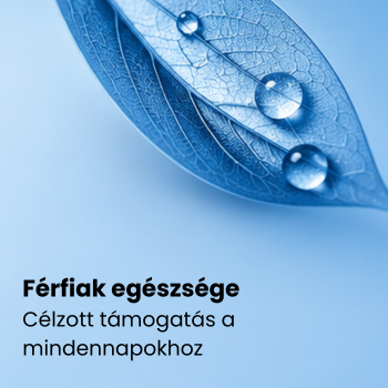 kék levél esőcseppekkel