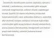 JutaVit C-vitamin 500 mg + D3 + Csipkebogyó rágótabletta (100 rágótabletta)