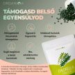 Organiqa Bio Chlorella (250 db tabletta) 