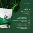 Organiqa Bio Spirulina (250 db tabletta) 