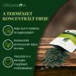 Organiqa Bio Chlorella & Spirulina (250 db tabletta)