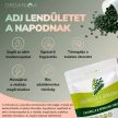 Organiqa Bio Chlorella & Spirulina (250 db tabletta)