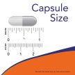 Now Foods L-Arginin 500 mg (100 kapszula)